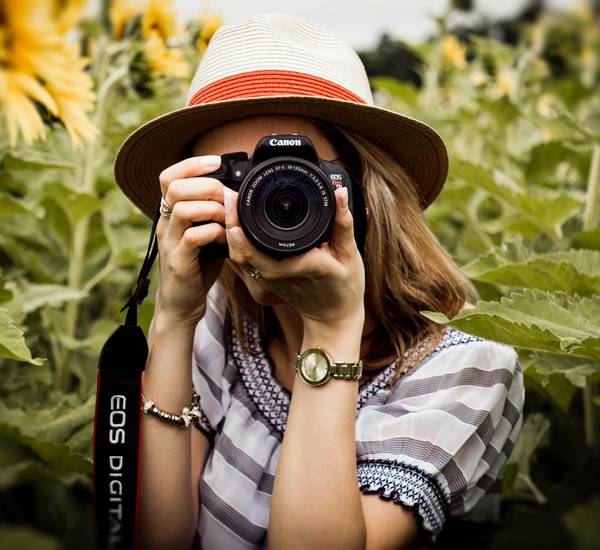 Eine Frau fotogratfoert im Sonnenblumenfeld